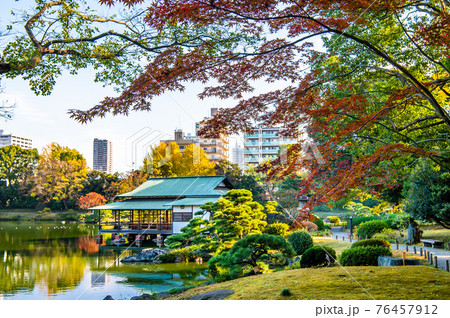 東京都 紅葉の清澄庭園 東京都 紅葉の清澄庭園 76457912