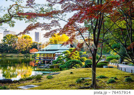 東京都　紅葉の清澄庭園 76457914