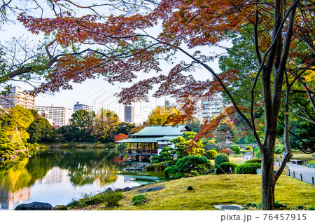 東京都 紅葉の清澄庭園 東京都 紅葉の清澄庭園 76457915