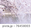 水桜 76458003