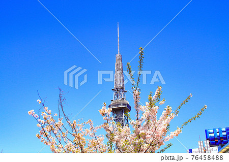 名古屋市、テレビ塔と桜の風景 名古屋市、テレビ塔と桜の風景 76458488