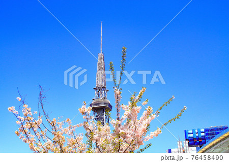 名古屋市、テレビ塔と桜の風景 名古屋市、テレビ塔と桜の風景 76458490