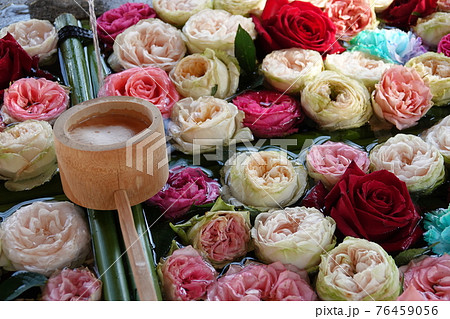 手水舎と薔薇の花 手水舎と薔薇の花 76459056