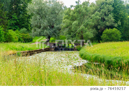 Black bridge-dam over the Slavyanka river in Pavlovsk park, Russia 76459257