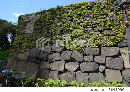 江戸城の石垣・牛込御門跡 江戸城の石垣・牛込御門跡 76459964