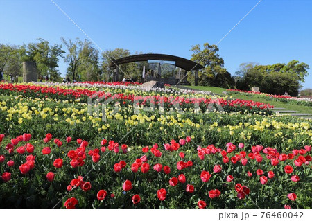 馬見丘陵公園の春景色 馬見丘陵公園の春景色 76460042