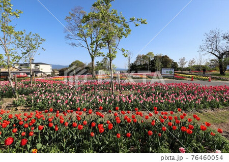 馬見丘陵公園の春景色 馬見丘陵公園の春景色 76460054