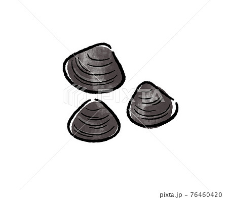 シジミのイラスト素材 シジミのイラスト素材