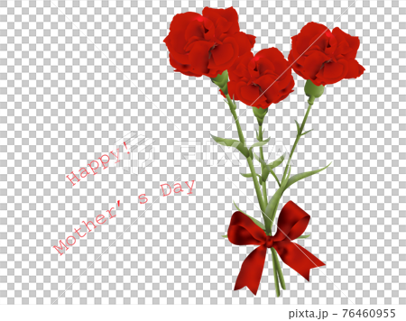 母親節紅色康乃馨3朵花束 母親節紅色康乃馨3朵花束 76460955