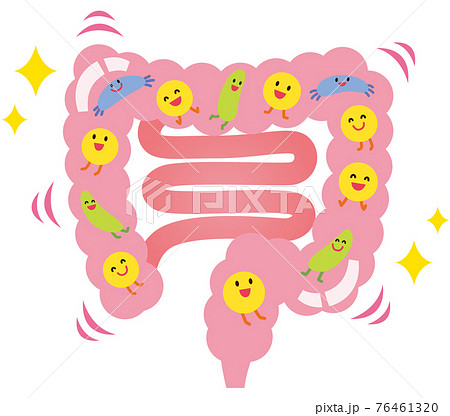 健康な腸内環境 健康な腸内環境 76461320