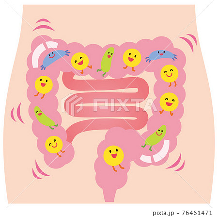 健康な腸内環境 76461471