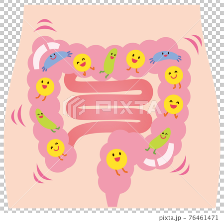 健康な腸内環境 76461471