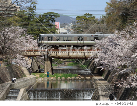 桜満開の夙川を渡る223系電車 桜満開の夙川を渡る223系電車 76461942