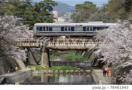 桜満開の夙川を渡る207系電車 桜満開の夙川を渡る207系電車 76461943