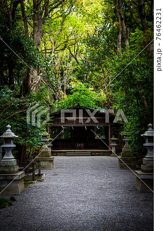 鶴岡八幡宮の祖霊社(鎌倉市雪ノ下) 76462231