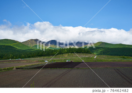 群馬県　嬬恋パノラマライン　愛妻の丘からの四阿山 76462482