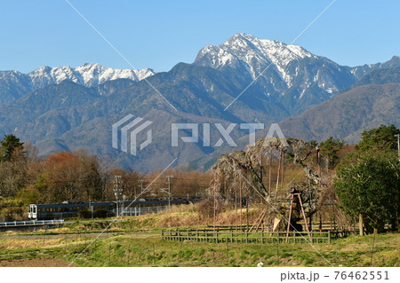 北杜市小淵沢町、神田の大糸桜・甲斐駒・中央本線 76462551