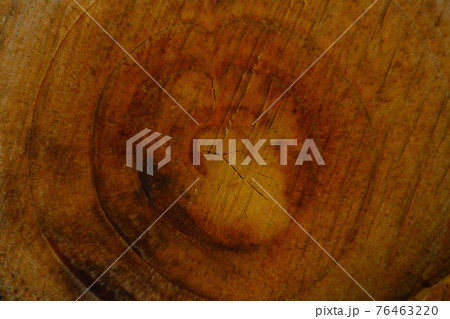 Cut of a tree close-up, brown background. 76463220