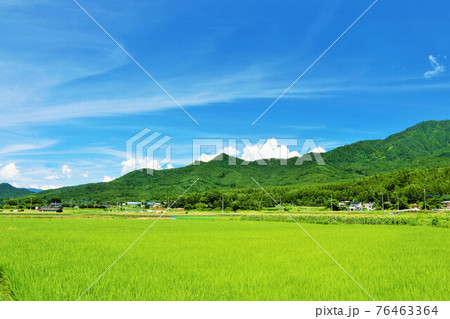 夏の青空と新緑の田園風景 夏の青空と新緑の田園風景 76463364