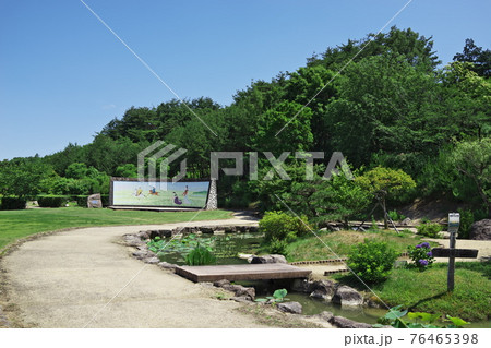 万葉の森　船岡山　滋賀 76465398