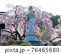 宝積寺桜満開 76465680
