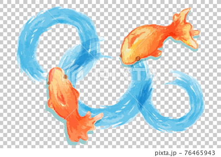 爽やかでかわいい金魚の水彩イラストのイラスト素材