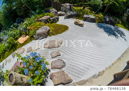 京都市東山区建仁寺塔頭寺院・霊源院甘露庭を撮影 76466136