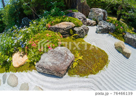 京都市東山区建仁寺塔頭寺院・霊源院甘露庭を撮影 京都市東山区建仁寺塔頭寺院・霊源院甘露庭を撮影 76466139