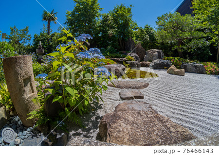 京都市東山区建仁寺塔頭寺院・霊源院甘露庭を撮影 京都市東山区建仁寺塔頭寺院・霊源院甘露庭を撮影 76466143