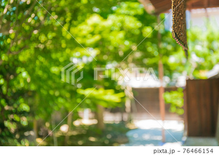 京都市東山区建仁寺塔頭寺院・霊源院甘露庭を撮影 76466154