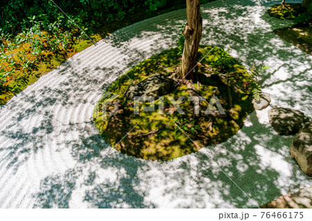 京都市東山区建仁寺塔頭寺院・霊源院甘露庭を撮影 76466175