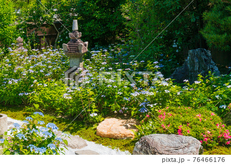 京都市東山区建仁寺塔頭寺院・霊源院甘露庭を撮影 76466176