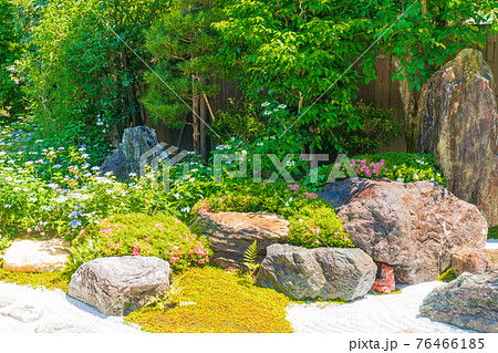 京都市東山区建仁寺塔頭寺院・霊源院甘露庭を撮影 76466185
