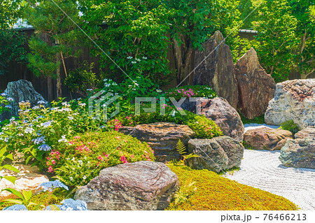 京都市東山区建仁寺塔頭寺院・霊源院甘露庭を撮影 京都市東山区建仁寺塔頭寺院・霊源院甘露庭を撮影 76466213