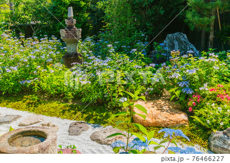 京都市東山区建仁寺塔頭寺院・霊源院甘露庭を撮影 76466227