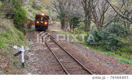 春のわたらせ渓谷鉄道 76466805