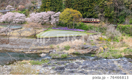 春のわたらせ渓谷鉄道 76466813