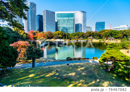 東京都　浜離宮恩賜庭園 76467082