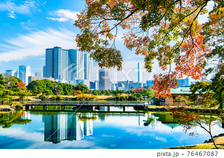 東京都　紅葉の浜離宮恩賜庭園 76467087