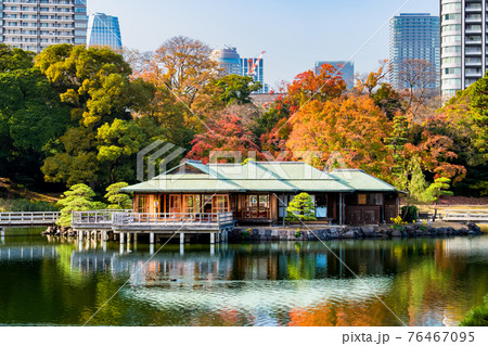 東京都 紅葉の浜離宮恩賜庭園 東京都 紅葉の浜離宮恩賜庭園 76467095