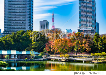 東京都 紅葉の浜離宮恩賜庭園 東京都 紅葉の浜離宮恩賜庭園 76467098