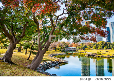 東京都　紅葉の浜離宮恩賜庭園 76467099