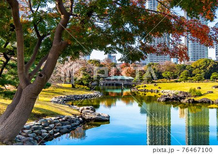 東京都　紅葉の浜離宮恩賜庭園 76467100