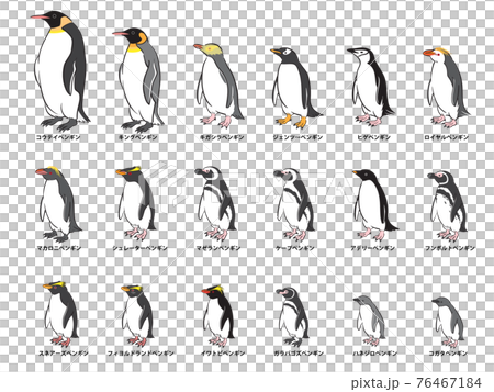 18種企鵝套裝 76467184