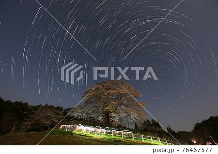 星軌道と醍醐桜3 76467577