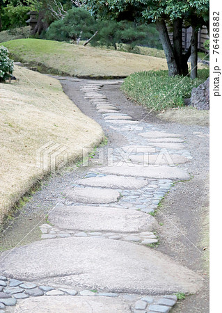 清澄庭園の飛び石の写真素材 7646