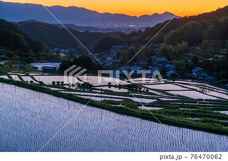 奈良県明日香村細川の夕刻の棚田を撮影 76470062