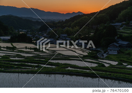 奈良県明日香村細川の夕刻の棚田を撮影 76470100