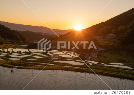 奈良県明日香村細川の夕刻の棚田を撮影 奈良県明日香村細川の夕刻の棚田を撮影 76470108