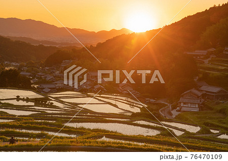 奈良県明日香村細川の夕刻の棚田を撮影 奈良県明日香村細川の夕刻の棚田を撮影 76470109